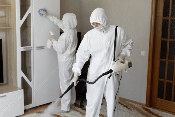 Best Attic Mold Removal  in Stanton, MI